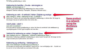 How to get a Product Displayed Several Times on Google SERPS [Case Study]