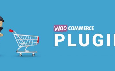 11 Must-Have WooCommerce Extensions for Business Owners