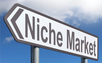 How to Find the Perfect Product Niche for Your Store in 2020 (Updated)
